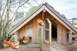 Ferienwohnung in Waabs - Ostseegarten Langholz - Ferienwohnung Ostwind (6-8Pers) - Bild 17