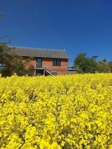 Ferienwohnung in Stoltebüll - Am Bauerngarten - Bild 5