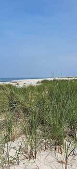 Ferienhaus in Fehmarn OT Gammendorf - Küstenliebe-Fehmarn - Niobe Strand Düne