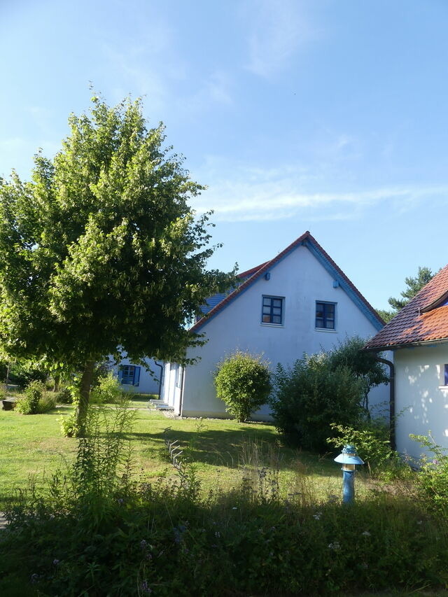 Ferienwohnung in Dranske - Ferienwohnung A45 - Bild 3