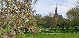 Ferienwohnung in Starkow - Ferienwohnung "Backsteinhaus Starkow" - Bild 11