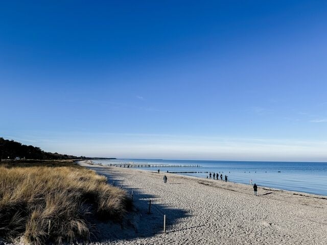 Ferienwohnung in Zingst - Whg. 16 - Zingst Ferienwohnung Sol - Bild 11