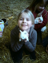 Ferienhaus in Gr&ouml;mitz - Backhaus - Bild 19