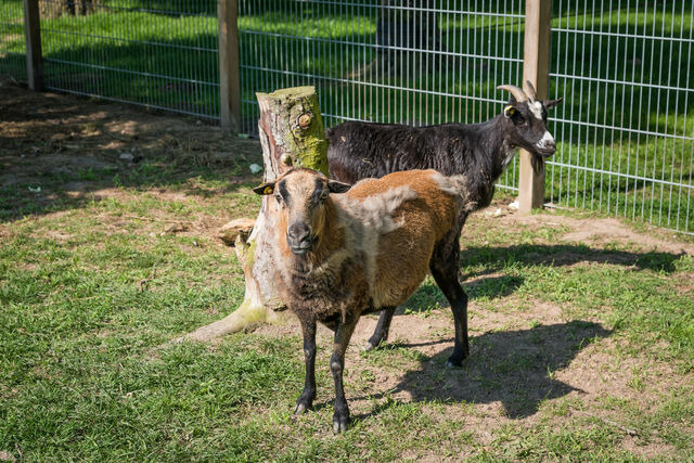 Ferienwohnung in Gr&ouml;mitz - Steffi - Bild 18
