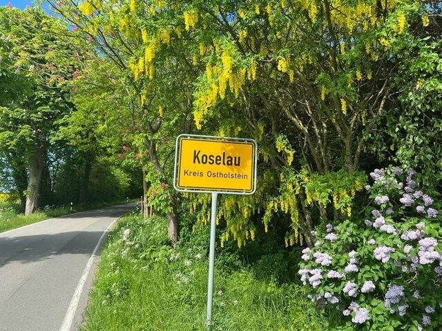 Ferienwohnung in Koselau - Gut Koselau Stellplatzwiese - Bild 3