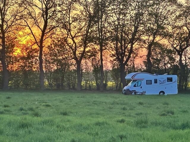 Ferienwohnung in Koselau - Gut Koselau Stellplatzwiese - Bild 6