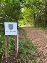Ferienwohnung in Koselau - Gut Koselau Stellplatzwiese - Bild 9