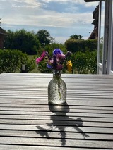 Ferienwohnung in Fehmarn OT Wenkendorf - Wenke Perle Kamin, Wintergarten & Sonnenterrasse - Bild 19
