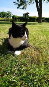 Ferienwohnung in Fehmarn OT Schlagsdorf - Bauernhof Urlaub FeWo Nr. 2 - 2-Personen - Bild 17 Ferienwohnung in Fehmarn OT Schlagsdorf - Bauernhof Urlaub FeWo Nr. 2 - 2-Personen - Bild 17