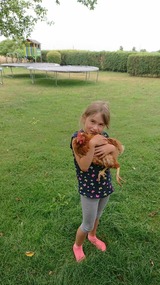 Ferienwohnung in Fehmarn OT Schlagsdorf - Bauernhof Urlaub FeWo Nr. 2 - 2-Personen - Bild 19 Ferienwohnung in Fehmarn OT Schlagsdorf - Bauernhof Urlaub FeWo Nr. 2 - 2-Personen - Bild 19