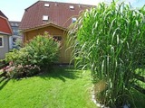 Ferienhaus in Kellenhusen - Ferienwohnpark Amselweg Ferienhaus 18 - Bild 24