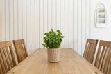 Ferienwohnung in Dahme - An der Aue 4a Albrecht - Bild 14