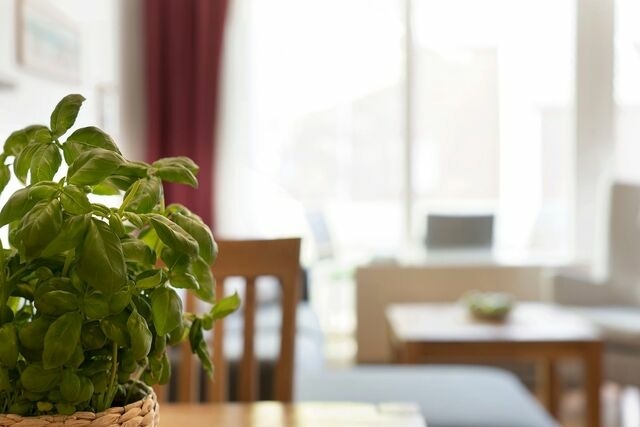 Ferienwohnung in Dahme - An der Aue 4a Albrecht - Bild 15