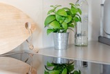 Ferienwohnung in Scharbeutz - Seepark Südblick - Bild 17
