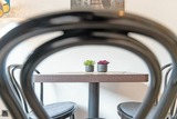 Ferienwohnung in Bosau - Haus Schwanensee PL&Ouml;NI 12 - Bild 9