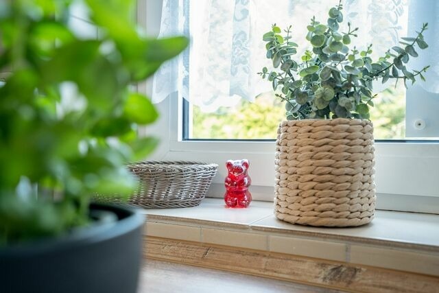 Ferienhaus in Kellenhusen - Ferienwohnpark Amselweg Ferienhaus Peppersack - Bild 15