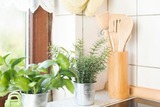 Ferienwohnung in Grömitz - Möwe Casa - Bild 19