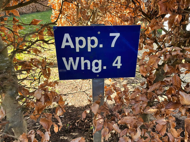 Ferienwohnung in Gro&szlig;enbrode - M&ouml;wennest 4 - Gro&szlig;enbrode - Bild 17