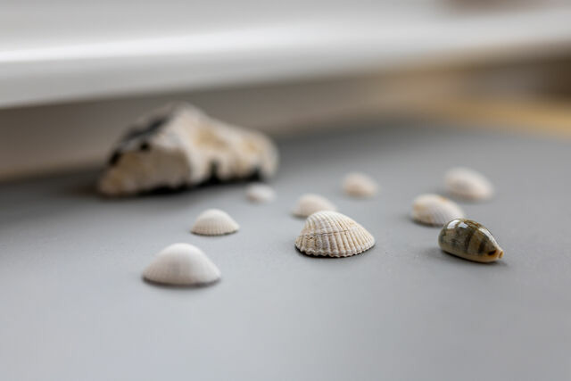 Ferienwohnung in Sch&ouml;nberger Strand - Strandkorb - Bild 7