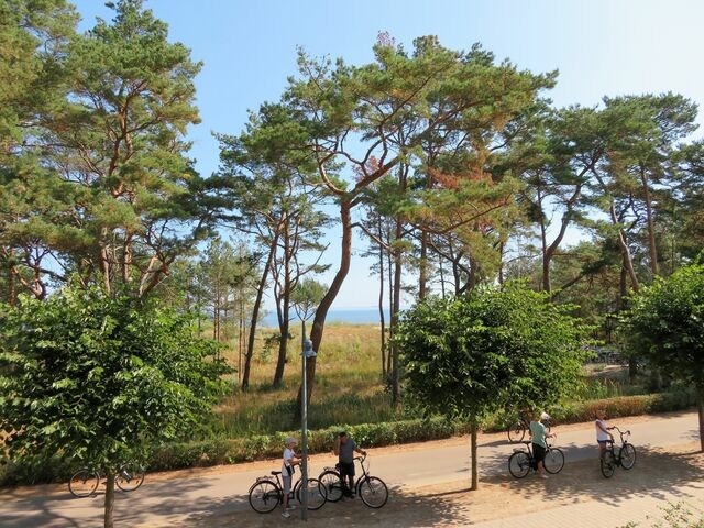 Ferienwohnung in Ahlbeck - (Brise) Strandresidenz Else Marie App. 1.12 - Bild 12