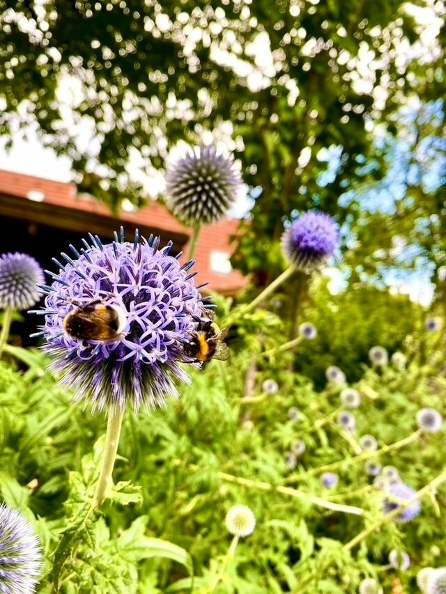 Ferienhaus in Sch&ouml;nwalde - Alte Kate - Bild 19