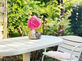 Ferienwohnung in Hohwacht - Fasanenweg Strandl&auml;ufer - Bild 10