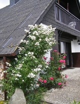 Ferienhaus in S&uuml;ssau - Buttkereit - Bild 4