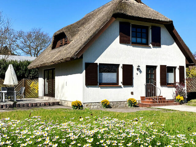 Ferienhaus in Zingst - Gl&uuml;cksfinder - Bild 6