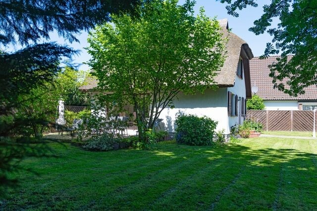 Ferienhaus in Zingst - Gl&uuml;cksfinder - Bild 17