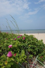 Ferienhaus in Zierow - Reethaus "StrandGut" - Bild 22