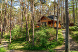 Ferienwohnung in Baabe - Ferienhaus Wald & Meer - Bild 1