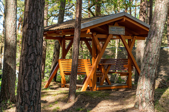 Ferienwohnung in Baabe - Ferienhaus Wald & Meer - Bild 16