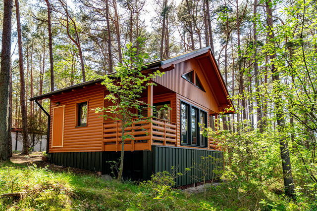 Ferienwohnung in Baabe - Ferienhaus Wald & Meer - Bild 19