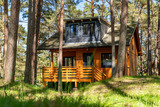 Ferienwohnung in Baabe - Ferienhaus Wald & Meer - Bild 20