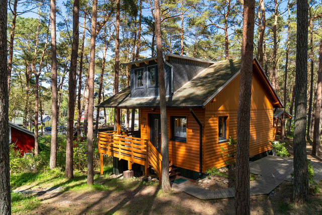 Ferienwohnung in Baabe - Ferienhaus Wald & Meer - Bild 21