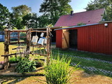 Ferienwohnung in Prerow - An der Brake, Bungalow - Bild 6