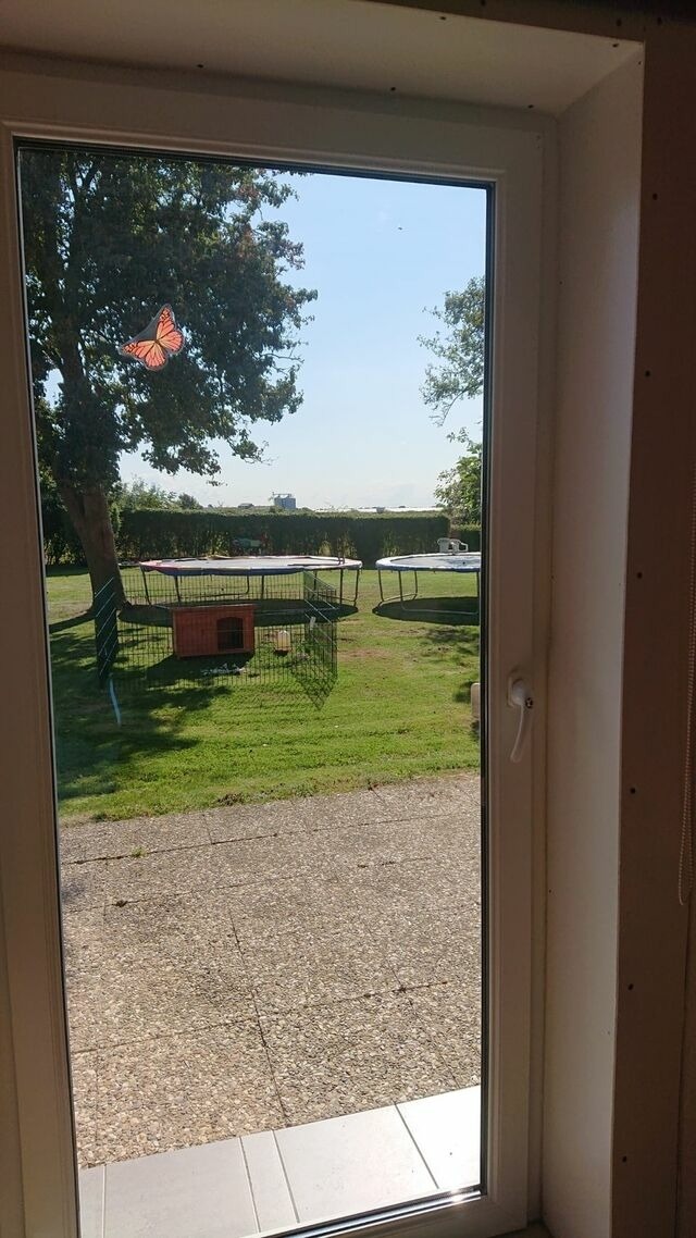 Ferienwohnung in Fehmarn OT Schlagsdorf - Ferienbauernhof Kruse Ferienwohnung Bauerngl&uuml;ck - Bild 6