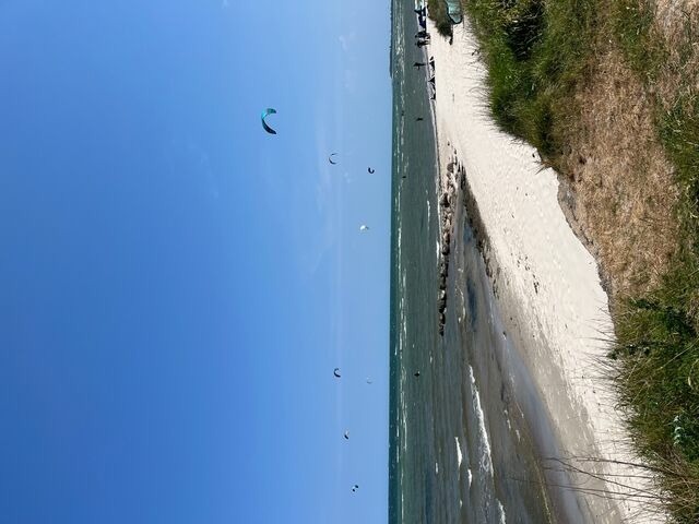 Ferienwohnung in Wendtorf - Muschelsucher - Bild 12